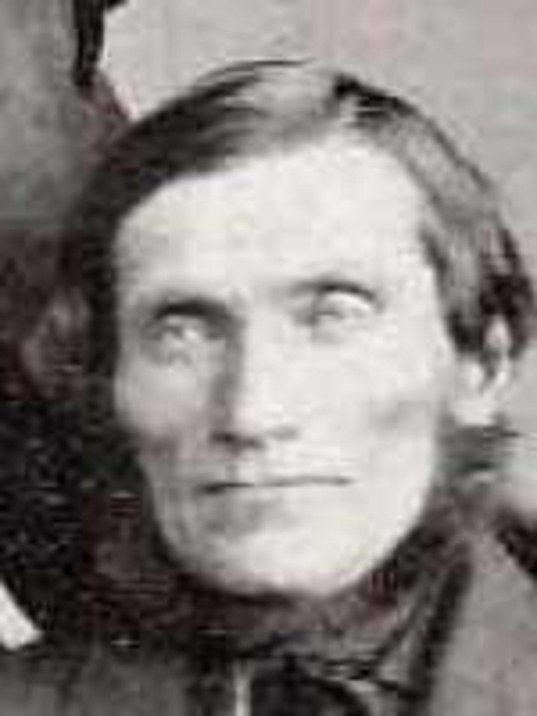 James C. Christensen (1819 - 1866) Profile